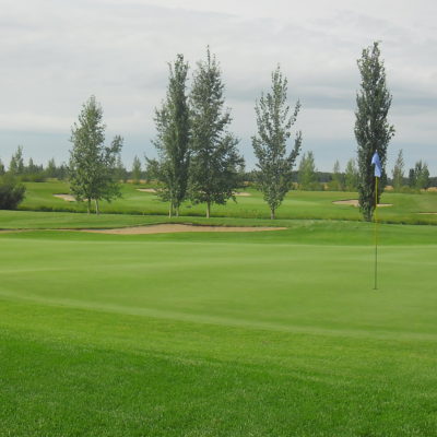 Why do you verticut greens?